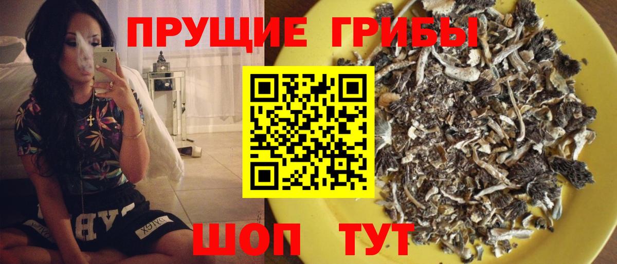 Псилоцибиновые грибы мицелий  Вход с VPN  Вольск  Псилоцибиновые грибы MAGIC MUSHROOMS 