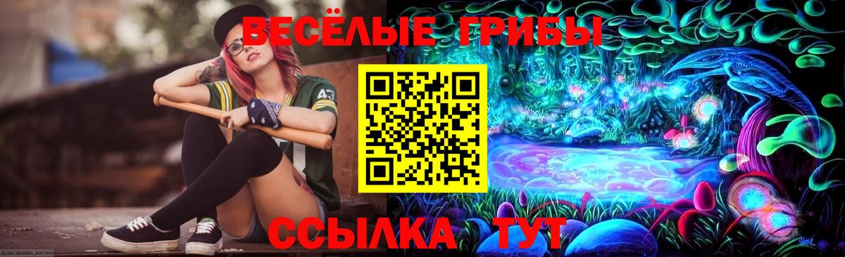 Псилоцибиновые грибы ЛСД Вольск